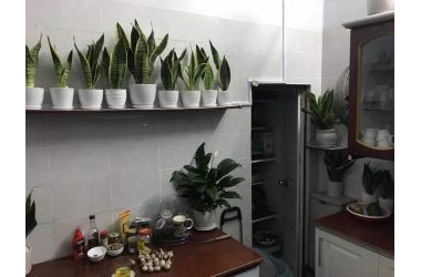 Siêu phẩm mặt phố Minh Khai, vị trí siêu đẹp, cực thoáng, mặt tiền rộng